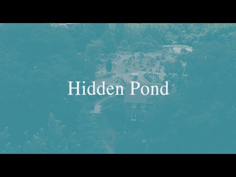 Hidden Pond and Disappearing Water Fountains at Aquatic & Garden Decor