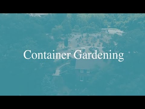Container Gardening at Aquatic & Garden Decor