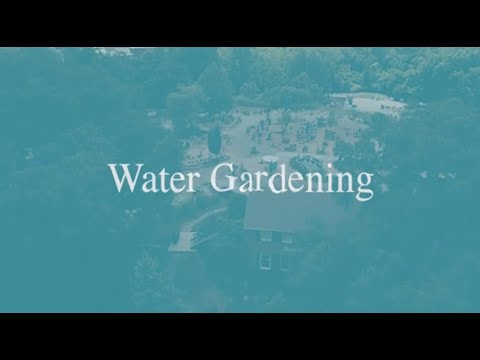Water Gardening at Aquatic & Garden Decor