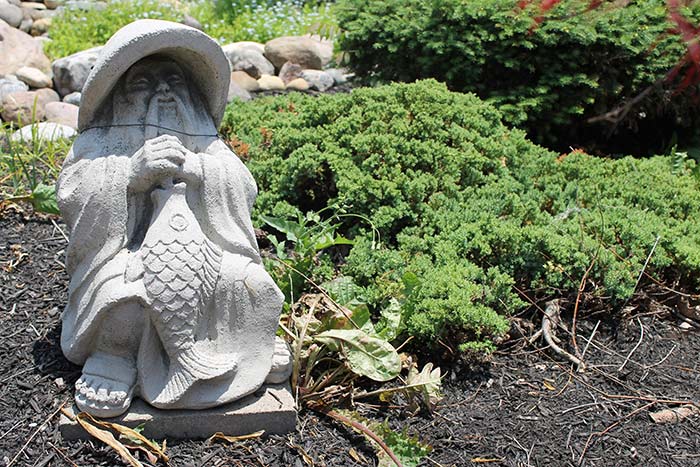Asian garden decor of statue of man with hat holding a fish, sitting next to a green shrub