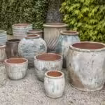 Large white ceramic planters sitting outside
