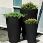 Tall black lightweight planters in a cylinder shape, holding shrubs