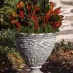Gray cast stone planter with plant with red and green leaves