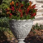 Gray cast stone planter with plant with red and green leaves