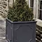 Black, square lightweight planter holding green shrub