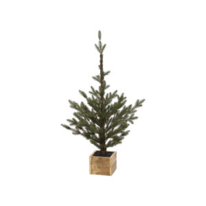 Pine Tree in Box, Sm 36"