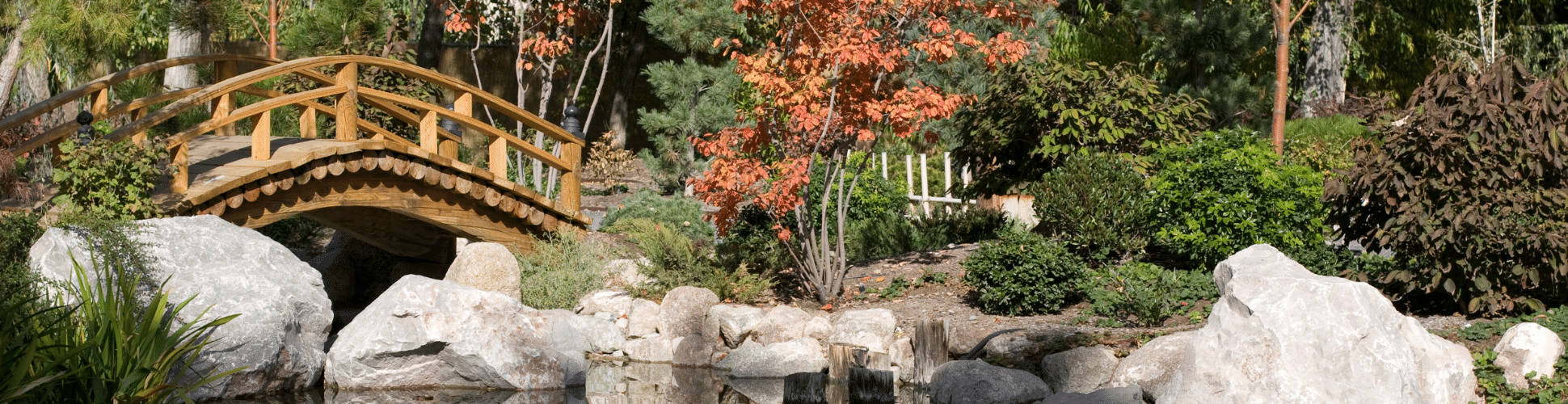 Asian garden featuring rocks, bridge, water, and maple tree