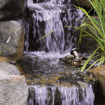 Waterfall with green plants to the right and orange flowers to the left, among large rocks and boulders